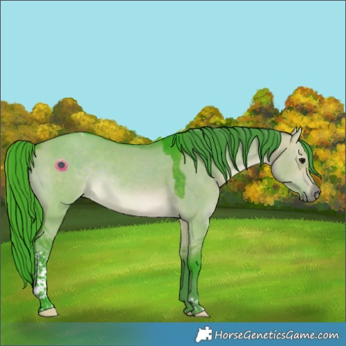 Horse Color:Watercolor Bay Dun Tobiano Rabicano 