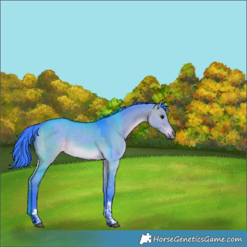 Horse Color:Watercolor Brown Dun Tobiano Rabicano 