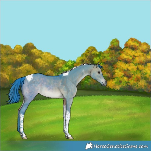 Horse Color:Watercolor Brown Dun Tobiano Rabicano 