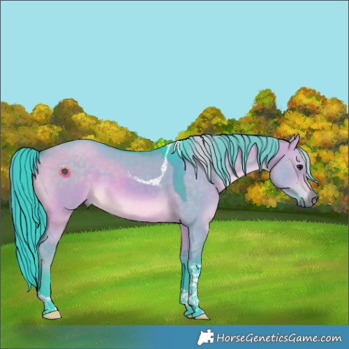 Horse Color:Watercolor Brown Dun Tobiano Rabicano 
