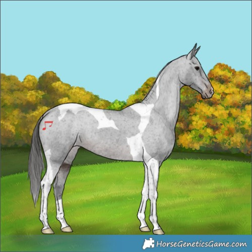 Horse Color:Brown Tobiano Varnish 
