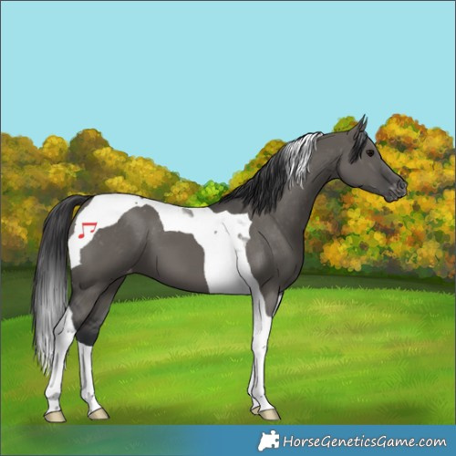 Horse Color:Grullo Tobiano Varnish 