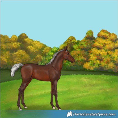 Horse Color:Silver Brown 