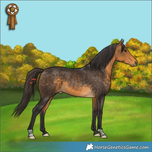 Horse Color:Buckskin 