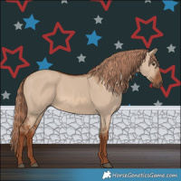 Horse Color:Red Dun