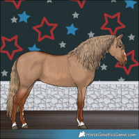 Horse Color:Red Dun