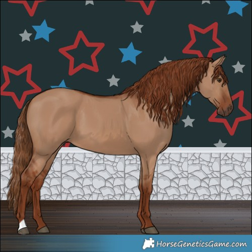 Horse Color:Red Dun 