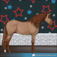 Horse Color:Red Dun 