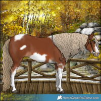 Horse Color:Chestnut Tobiano Frame