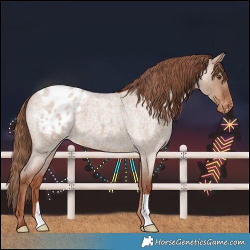 Horse Color:Red Dun Roan Blanket 