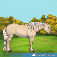 Horse Color:Palomino Dun 