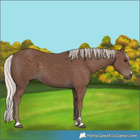 Horse Color:Silver Black