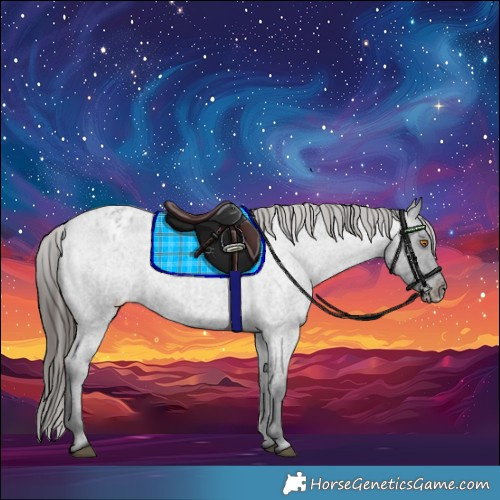 Horse Color:Blue Roan Varnish 