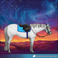 Horse Color:Blue Roan Varnish 