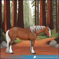 Horse Color:White Spotted Silver Bay Splash