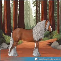 Horse Color:White Spotted Silver Bay Splash