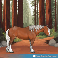 Horse Color:White Spotted Silver Bay Splash 