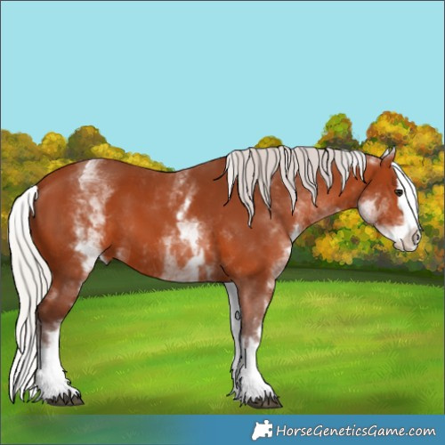 Horse Color:White Spotted Silver Bay Splash 