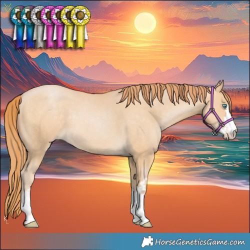 Horse Color:Buckskin Pearl