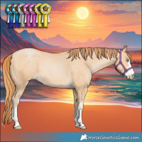 Horse Color:Buckskin Pearl 