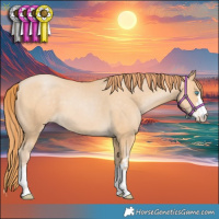 Horse Color:Buckskin Pearl 
