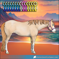 Horse Color:Buckskin Pearl 