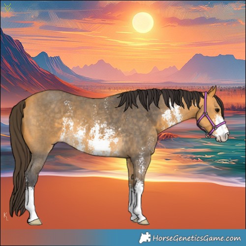 Horse Color:Buckskin Sabino
