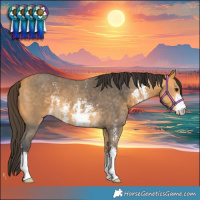 Horse Color:Buckskin Sabino
