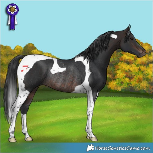 Horse Color:Brown Tobiano Rabicano