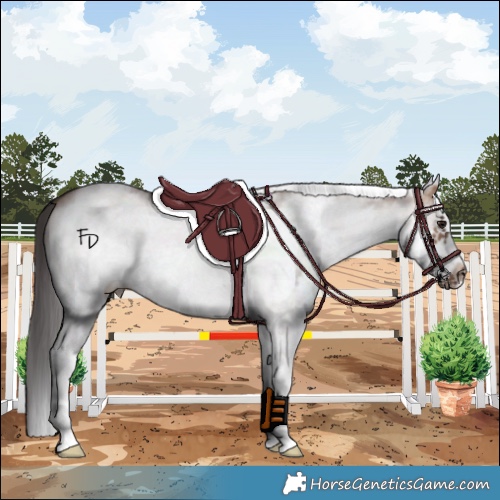 Horse Color:White Spotted Bay Dun Frame 