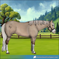 Horse Color:Silver Brown Dun Splash 