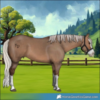 Horse Color:Silver Brown Dun Splash 