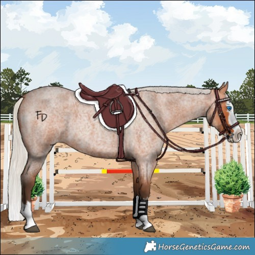 Horse Color:Silver Bay Roan Splash 