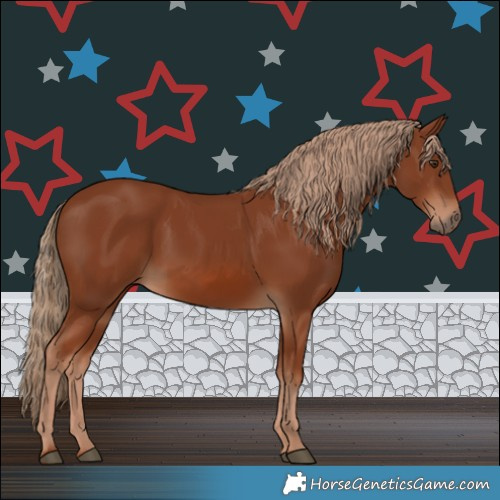 Horse Color:Chestnut 
