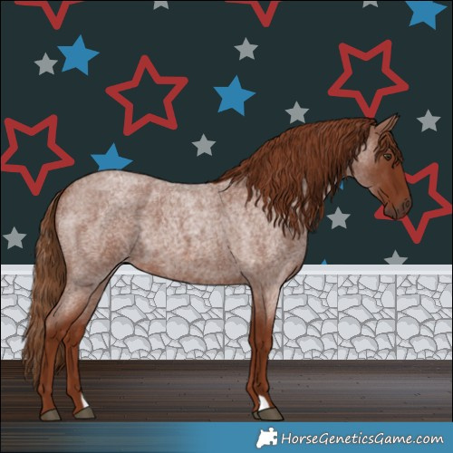 Horse Color:Red Roan 