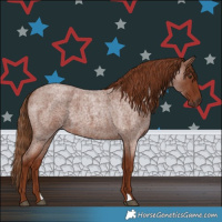 Horse Color:Red Roan 