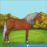 Horse Color:Silver Bay