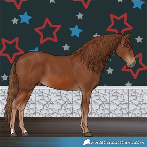 Horse Color:Chestnut 