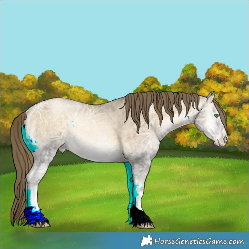Horse Color:Buckskin Ice Pearl Onyx