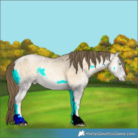 Horse Color:Buckskin Ice Pearl Onyx