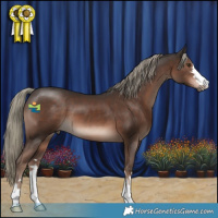 Horse Color:Liver Chestnut Mushroom 