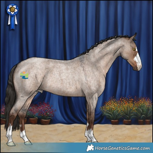 Horse Color:Liver Red Dun Roan 