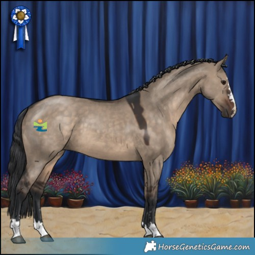 Horse Color:Brown Dun 