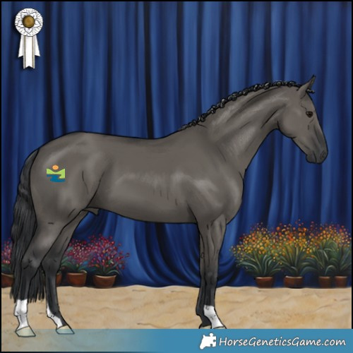 Horse Color:Grullo 