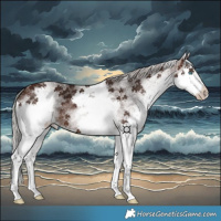 Horse Color:White Spotted Silver Brown Splash 
