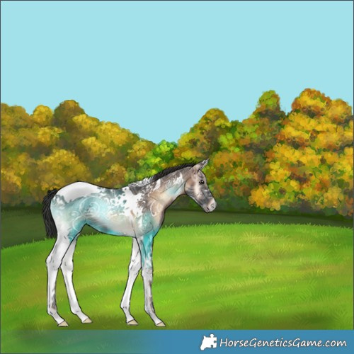 Horse Color:Liver Red Onyx Ice Tobiano 