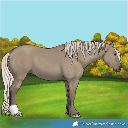 Horse Color:Silver Smoky Grullo 