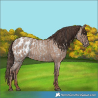 Horse Color:Smoky Blue Roan  and Classic Champagne Blanket 