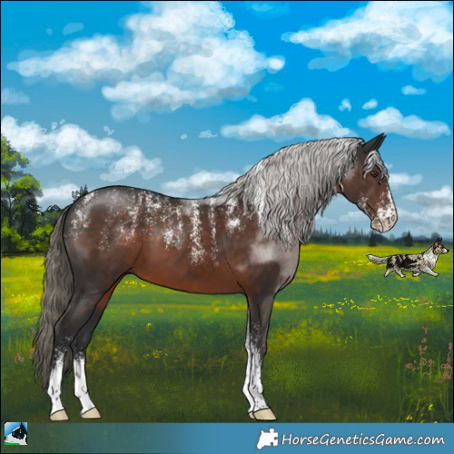 Horse Color:Powder White Liver Chestnut Mushroom Sabino