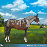Horse Color:Powder White Liver Chestnut Mushroom Sabino 